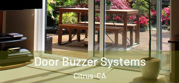  Door Buzzer Systems Citrus-CA