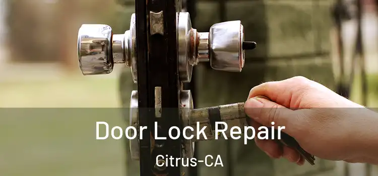 Door Lock Repair Citrus-CA