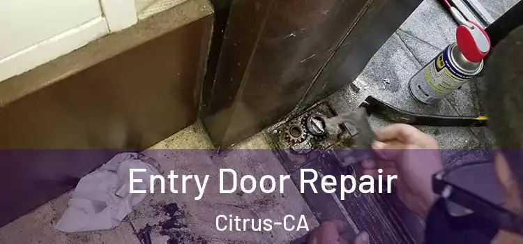 Entry Door Repair Citrus-CA