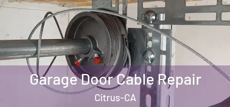  Garage Door Cable Repair Citrus-CA