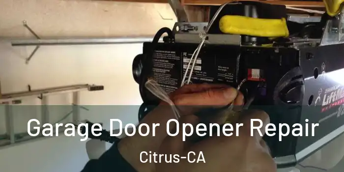 Garage Door Opener Repair Citrus-CA