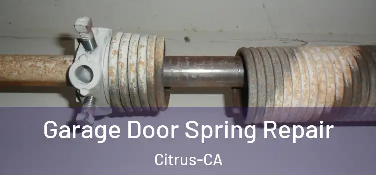  Garage Door Spring Repair Citrus-CA