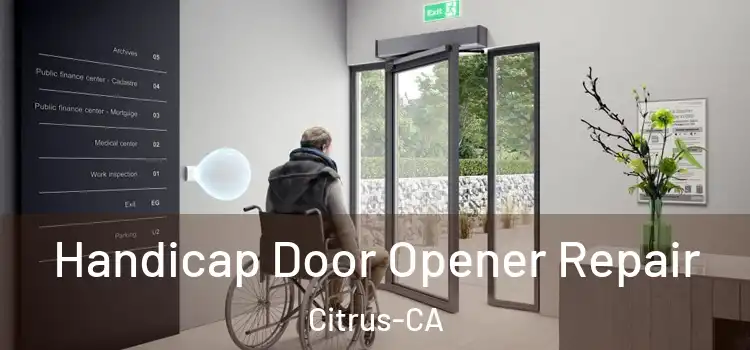 Handicap Door Opener Repair Citrus-CA