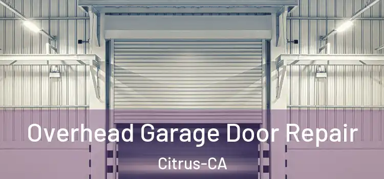 Overhead Garage Door Repair Citrus-CA