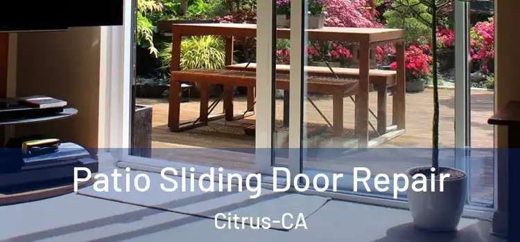 Patio Sliding Door Repair Citrus-CA
