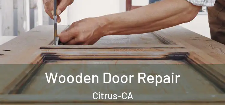 Wooden Door Repair Citrus-CA